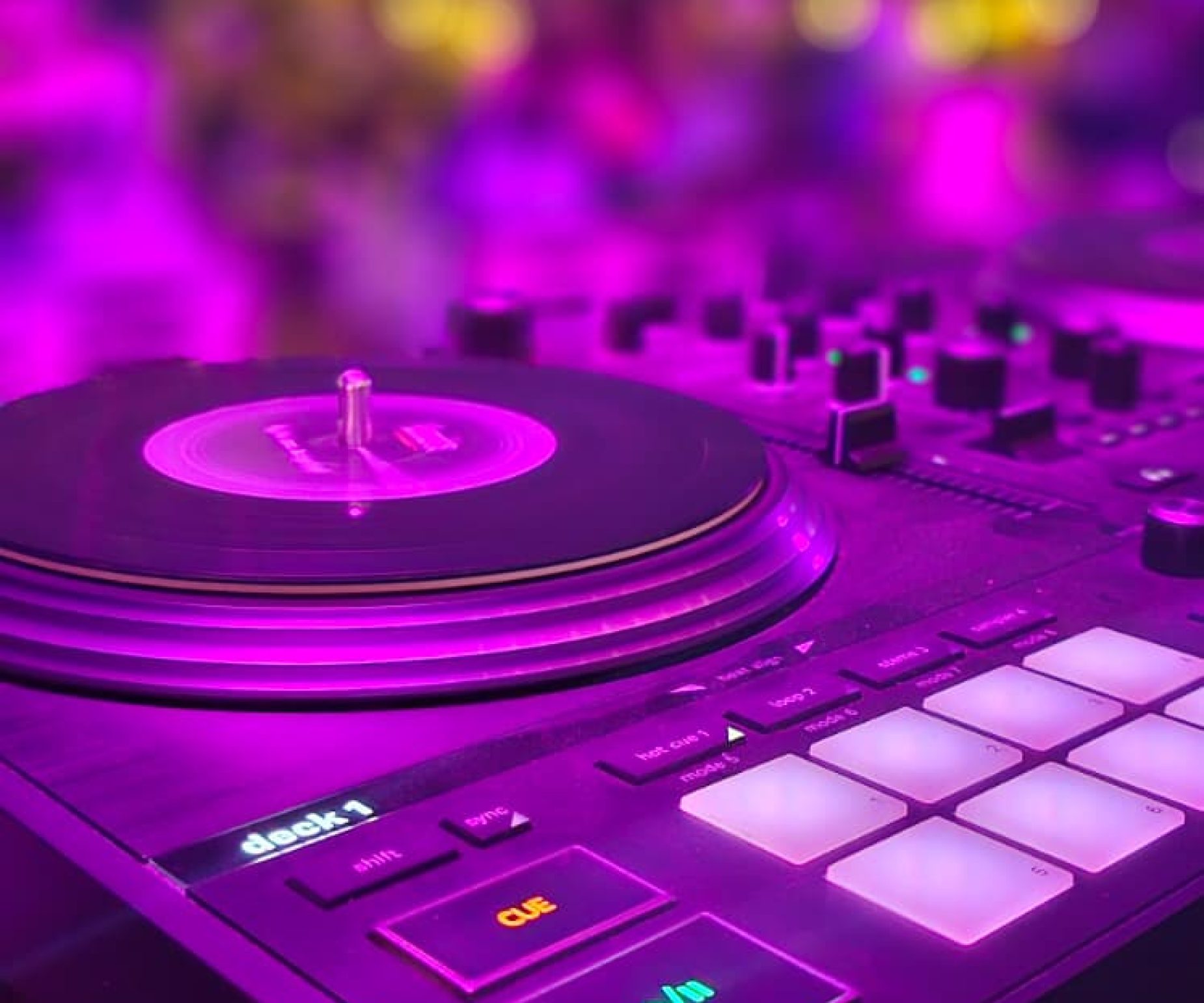 WhatsApp Image 2026-01-08 at 16.32.46